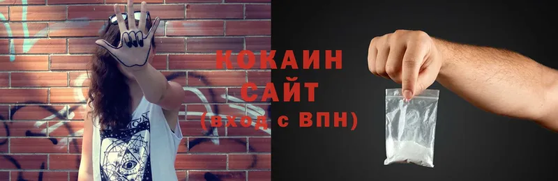 mega как войти  Волгоград  COCAIN Эквадор 